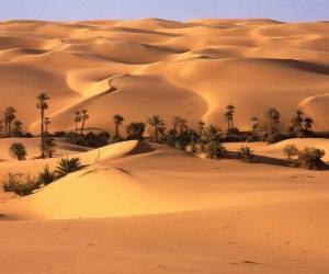 пазл Пальмы в дюнах пустыни